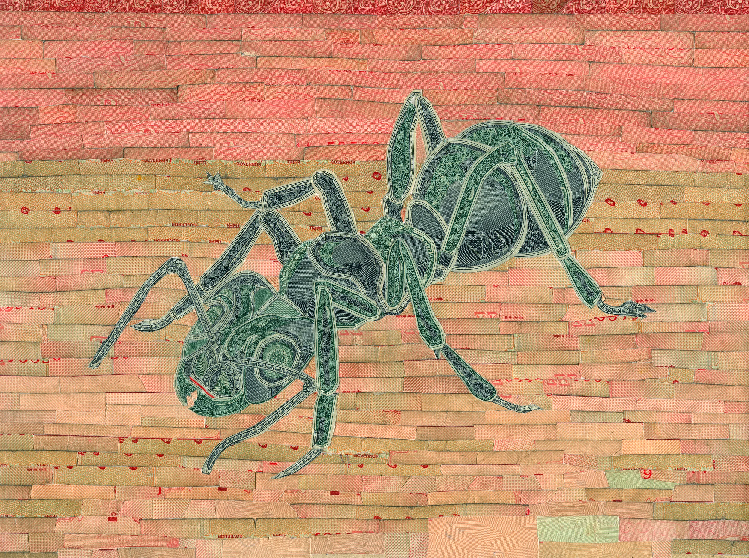 Ant by C.K.Wilde, currency collage