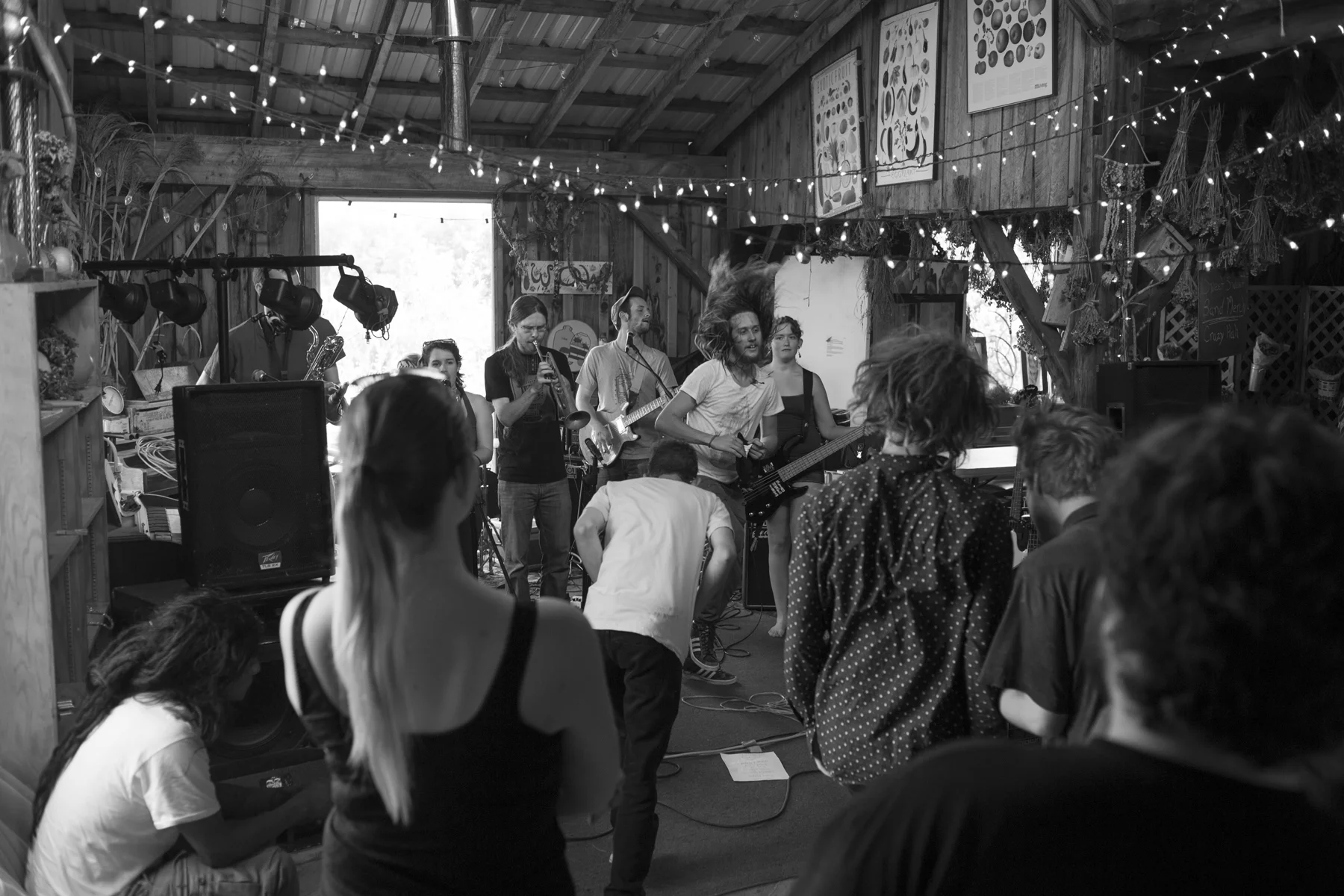 ¡Viva Mayhem! at Littletree Orchard. 2015.
