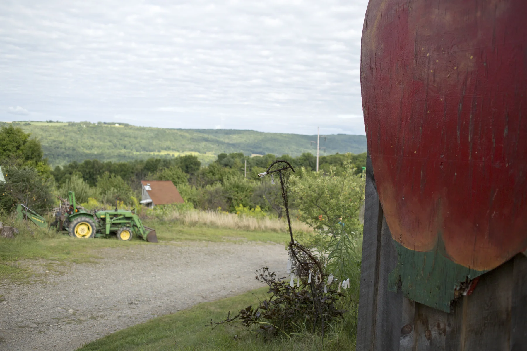 Littletree Orchard. 2015.