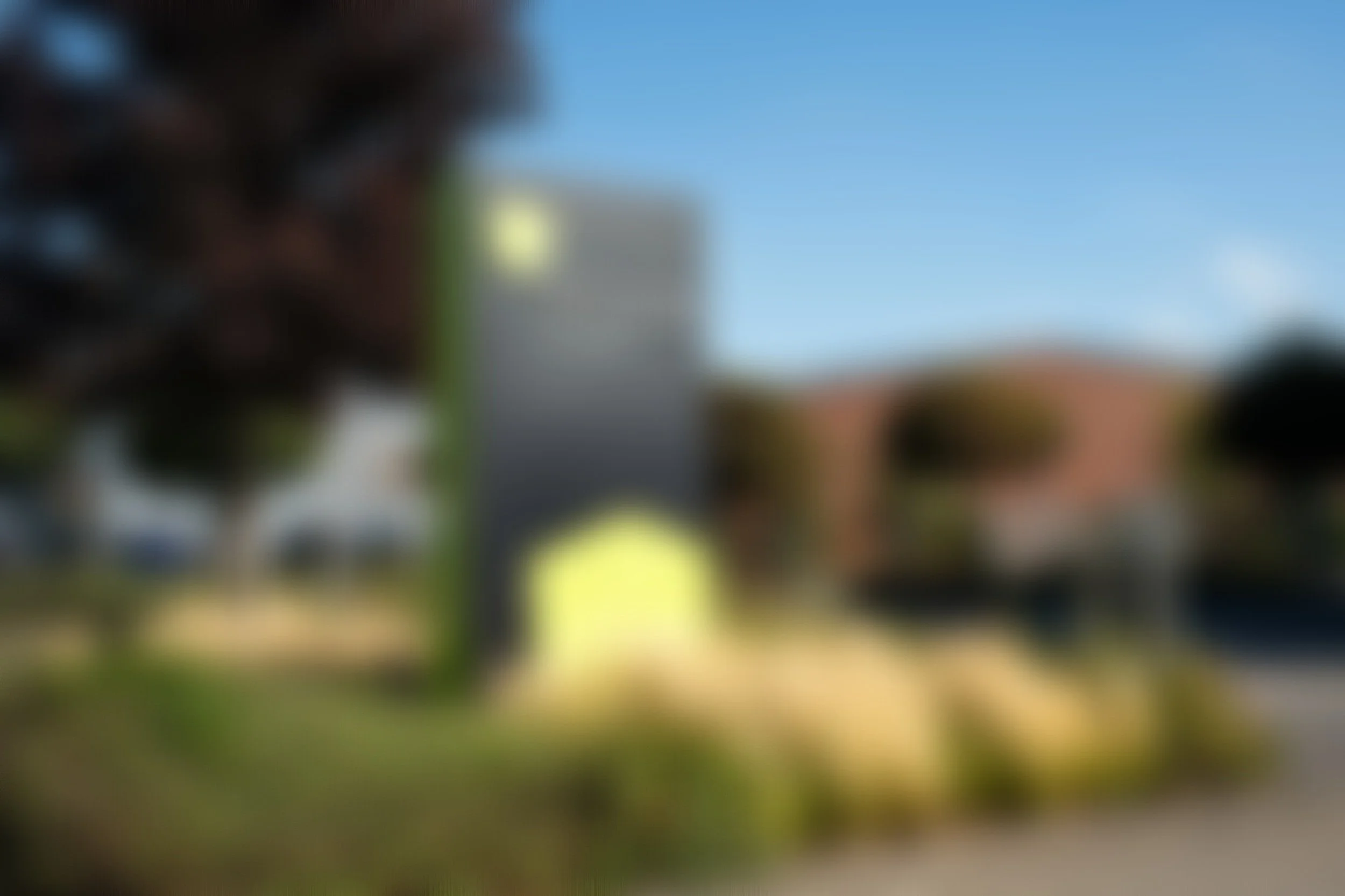 _DSF3322.jpg