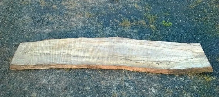 The organic nature of the wood before Kurtis Kruger transforms it into a counter top. 