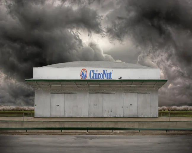 ChicoNut.jpg