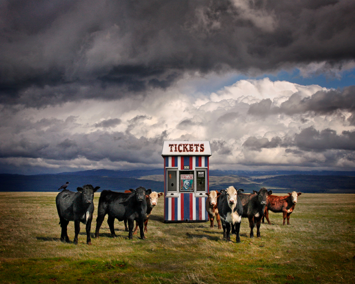 Farmtown Circus.jpg
