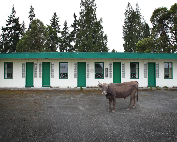 Green Doors_.jpg