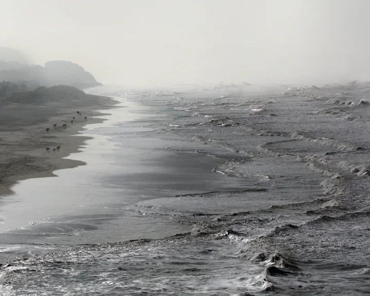 ocean Beach.jpg