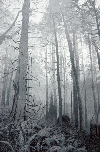 ForestWalk.jpg
