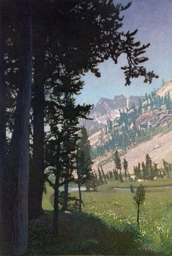 LittlePeteMeadow.jpg
