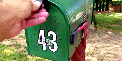 giphy (2).gif