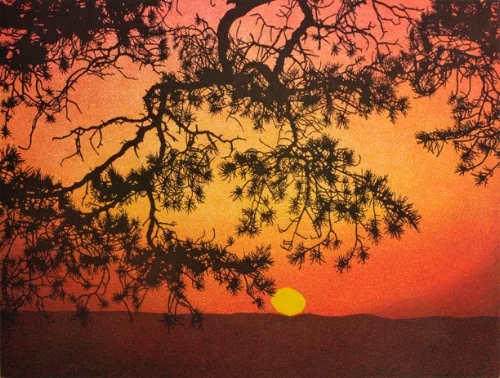 Sunset90.jpg