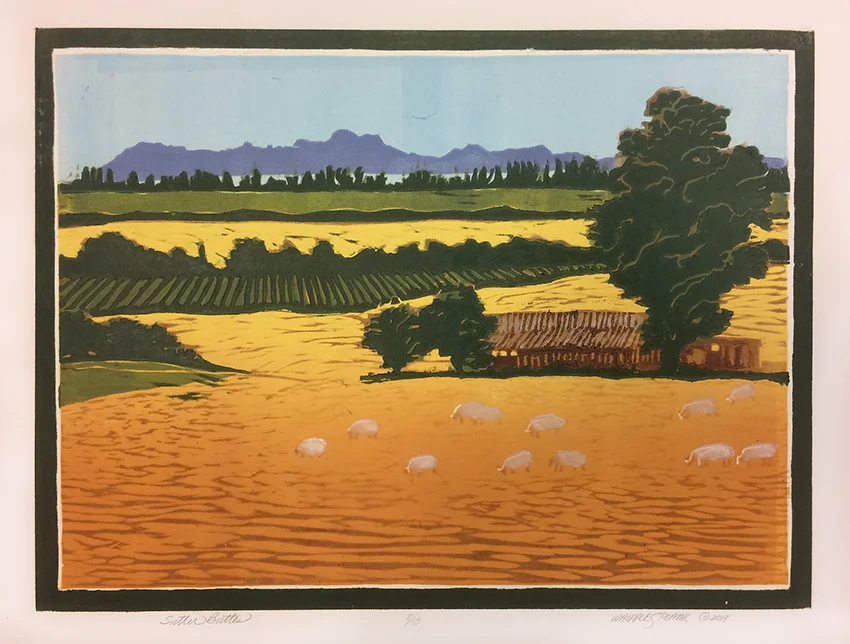 sutterbuttes.jpg