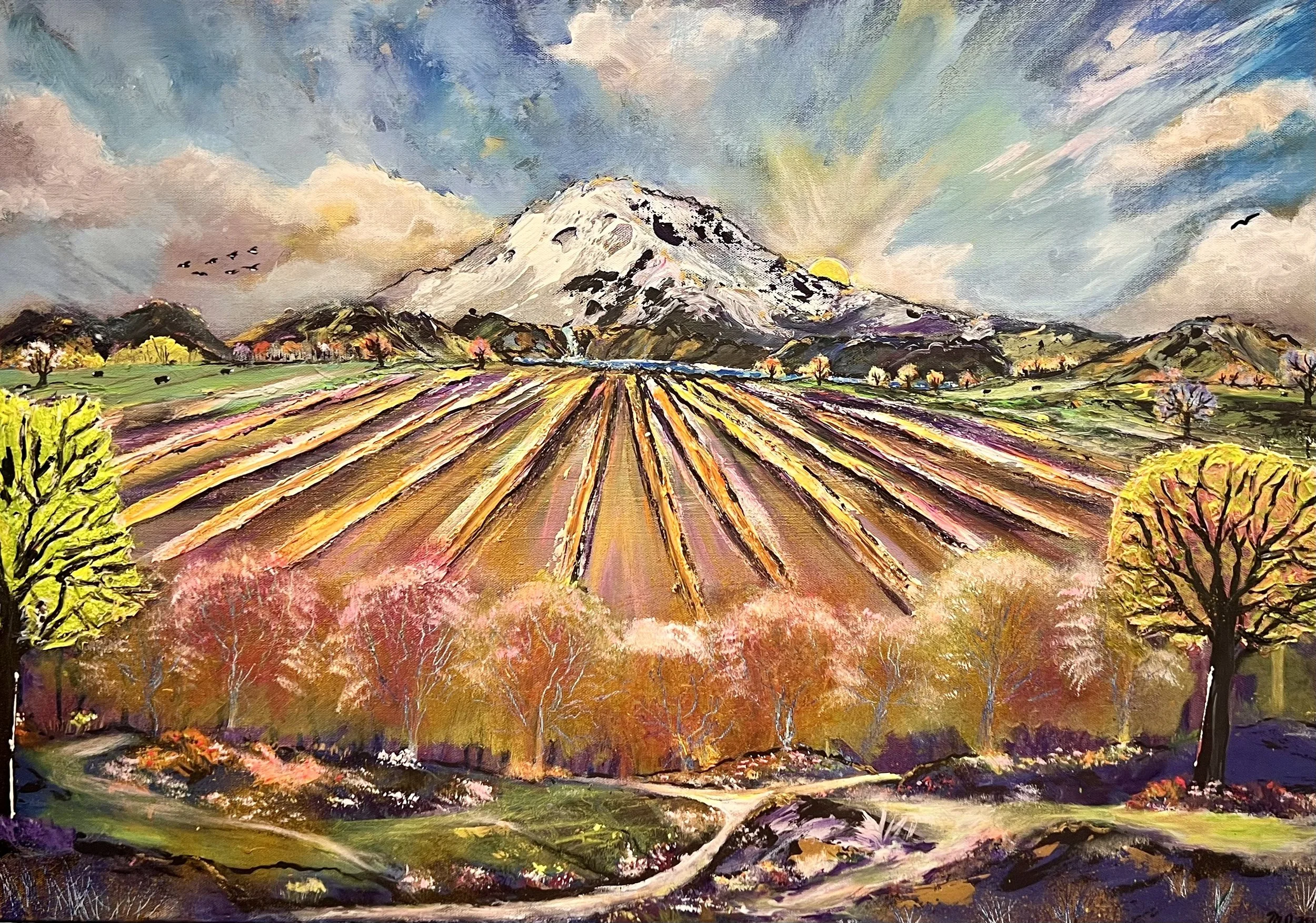 FullSizeRender 4.jpeg