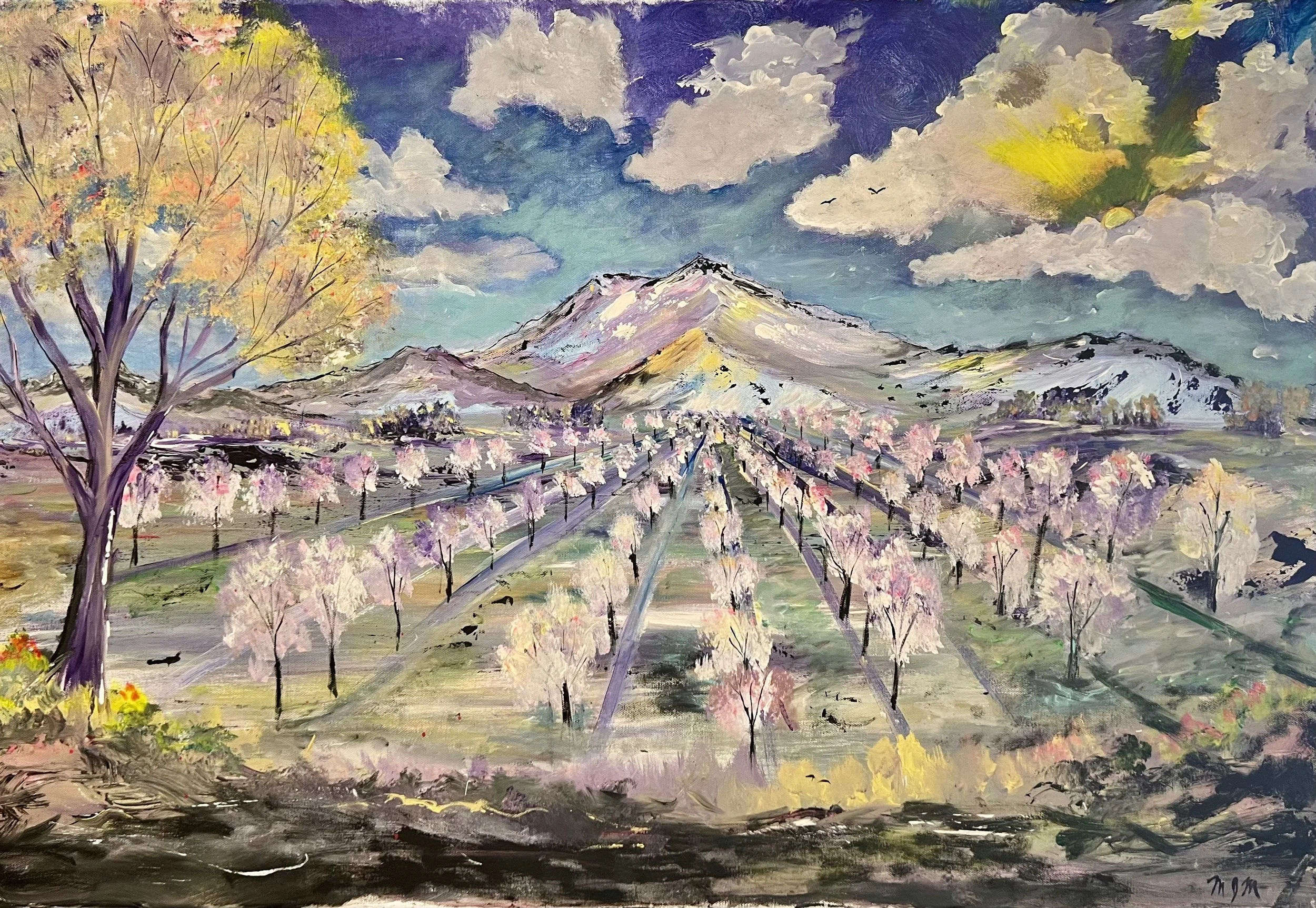 FullSizeRender 2.jpeg