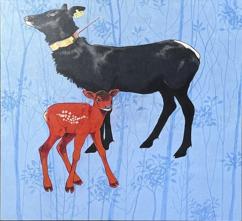 Cow702.jpg