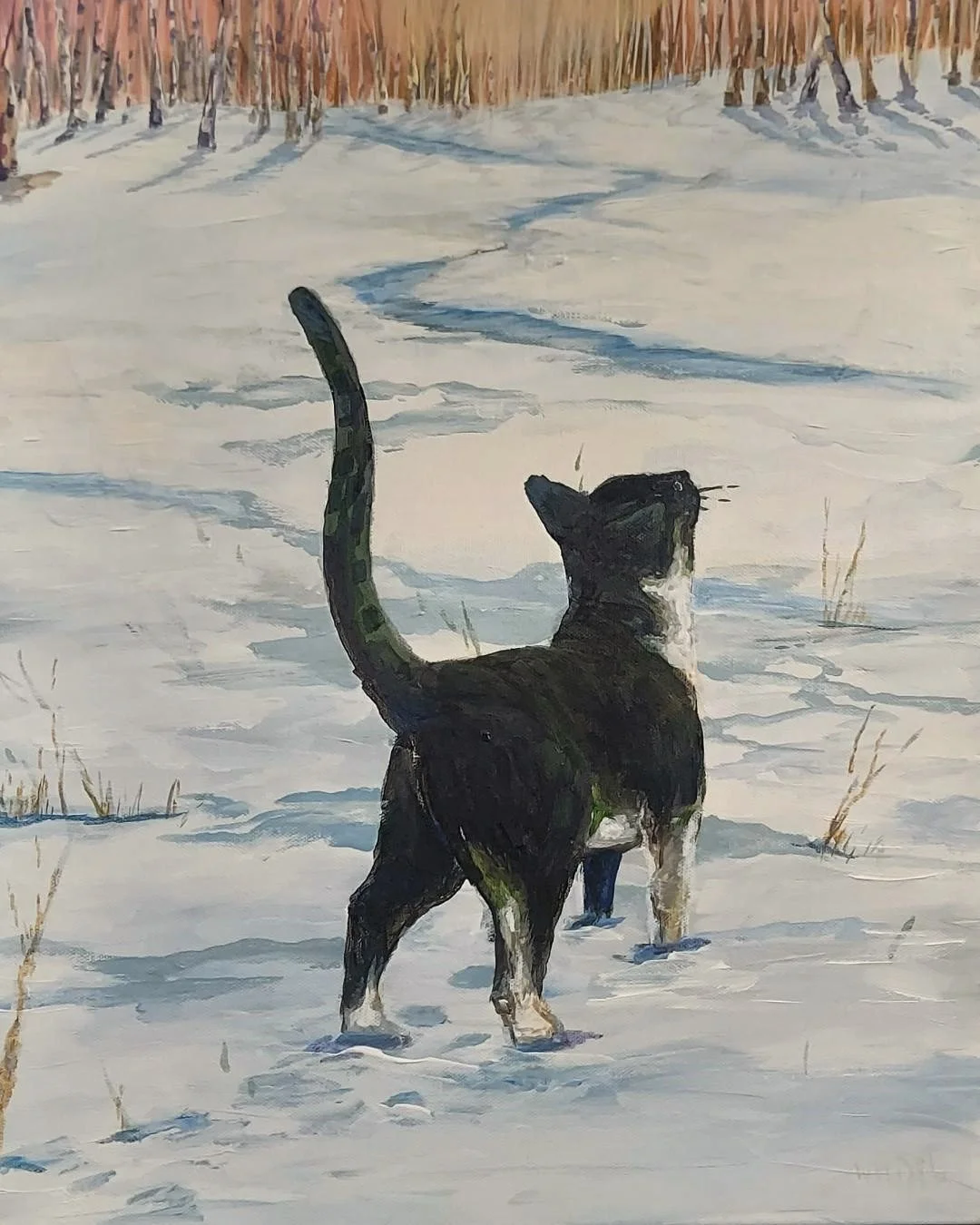 Snow Kitten 16x20 acrylic.jpg