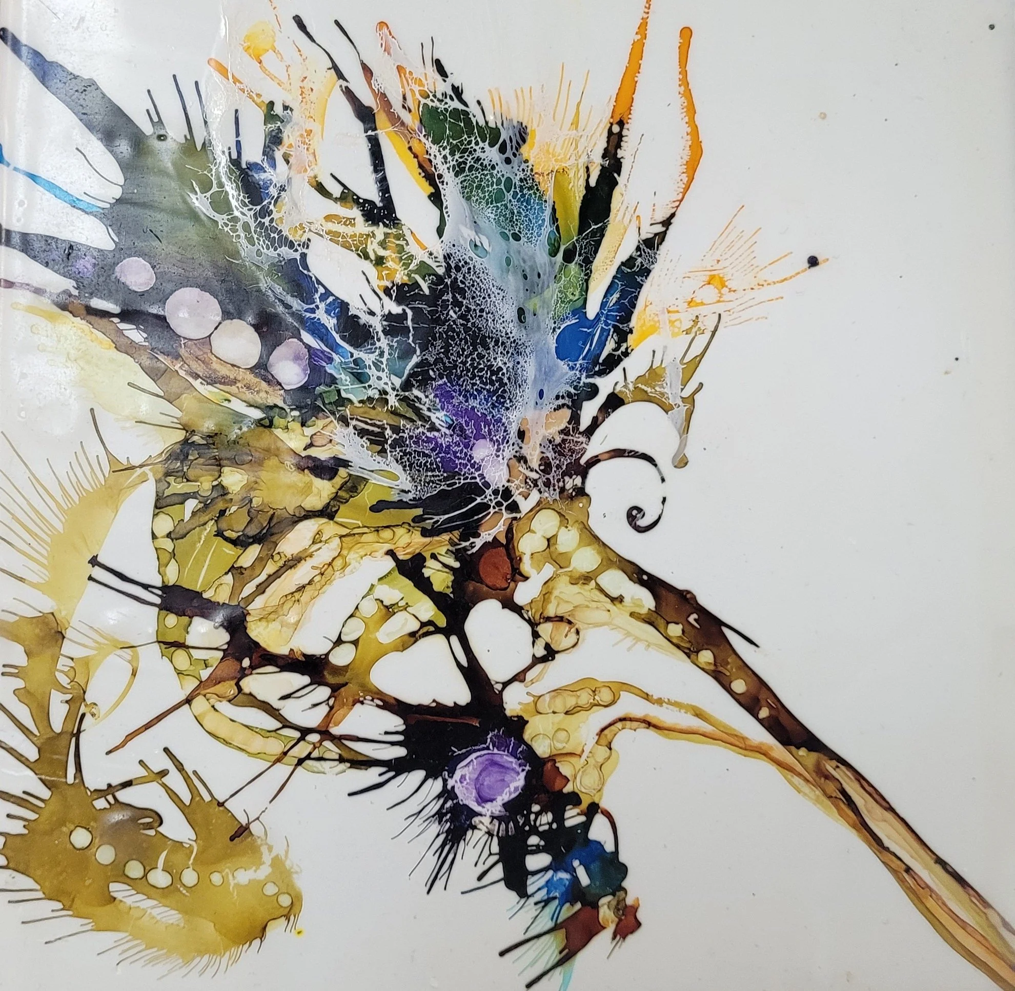 Thistle Bloom.jpg