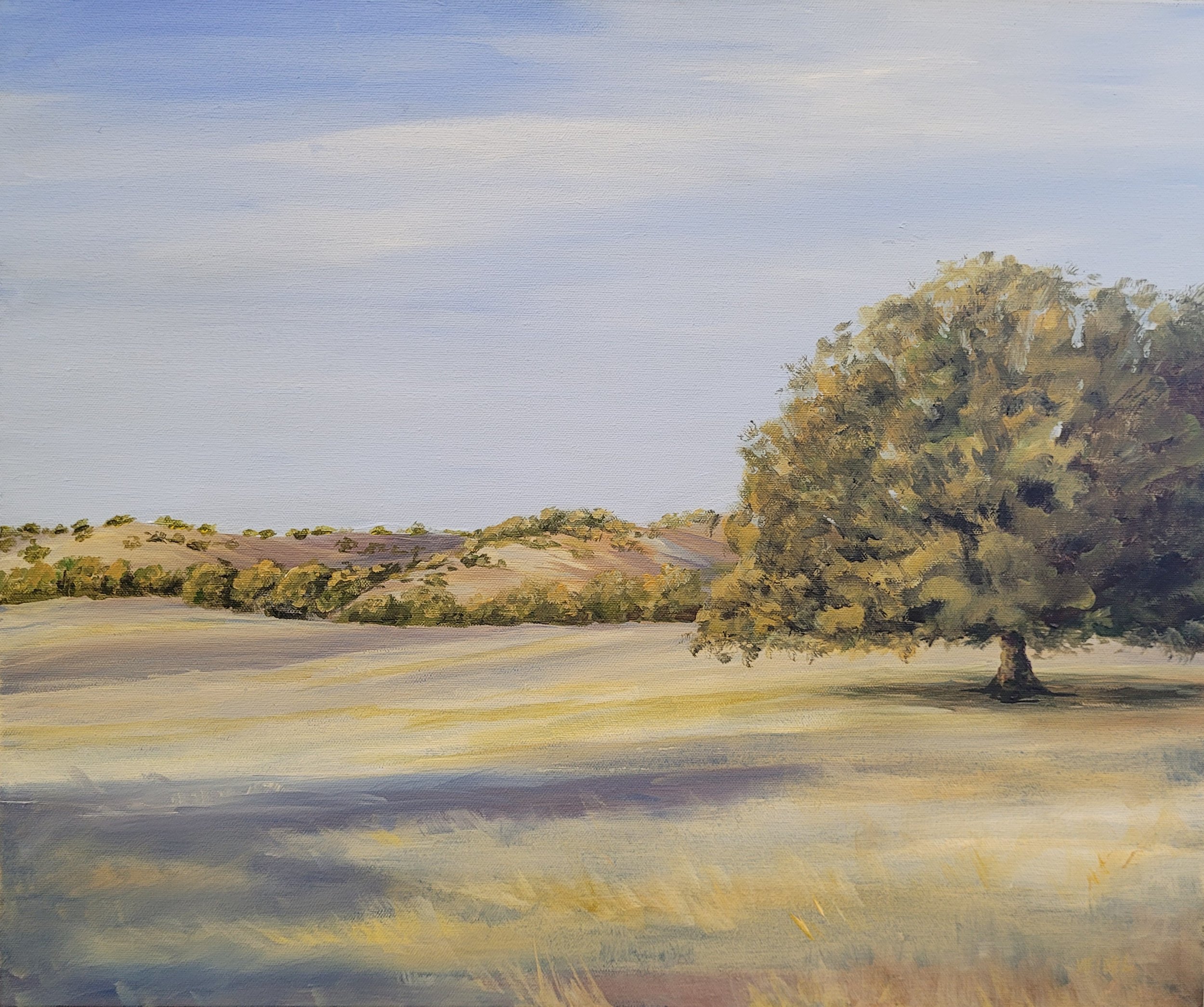 Oaks in Bute Valley.jpg