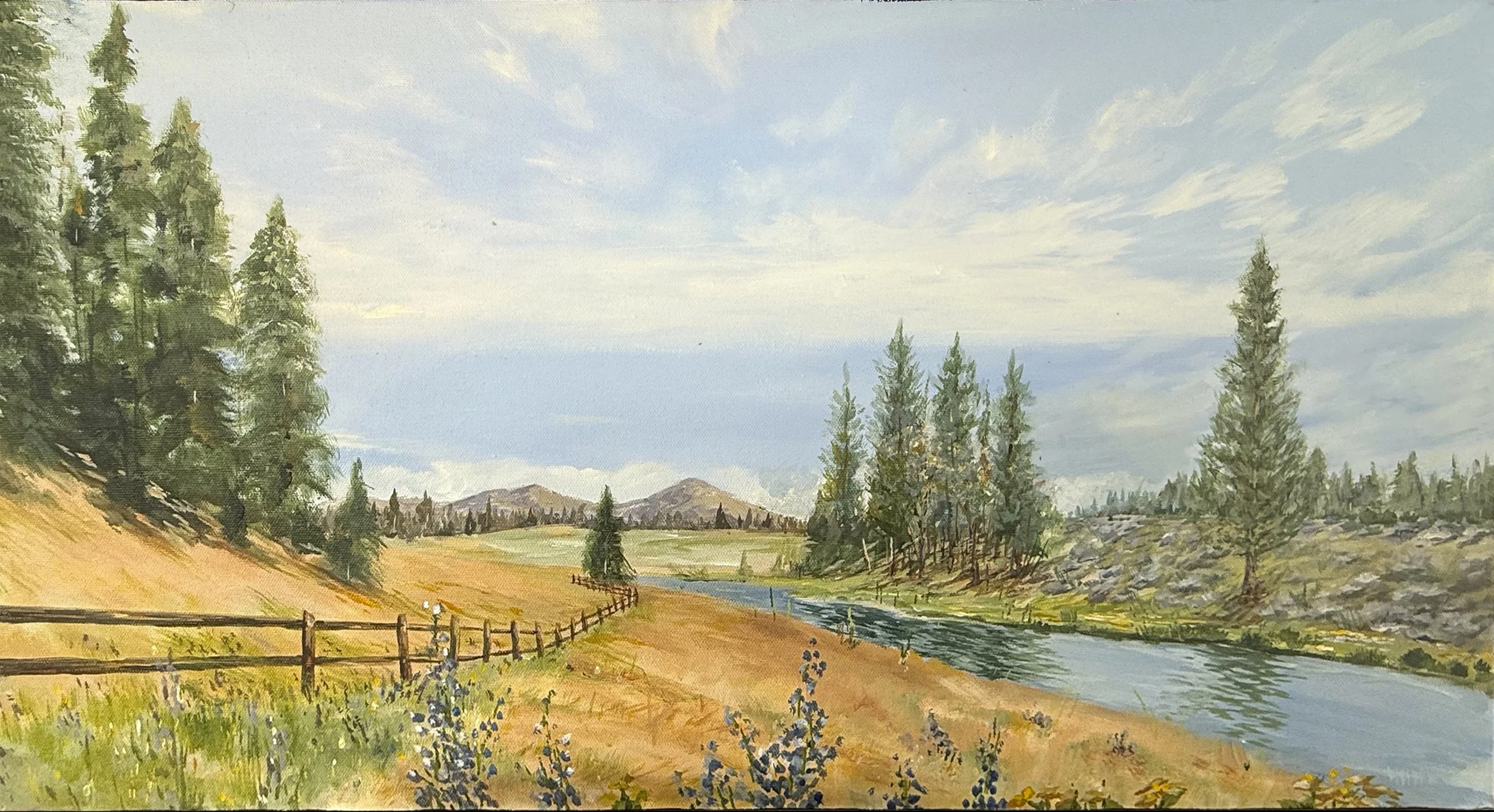 SpringatHatcreek.jpg