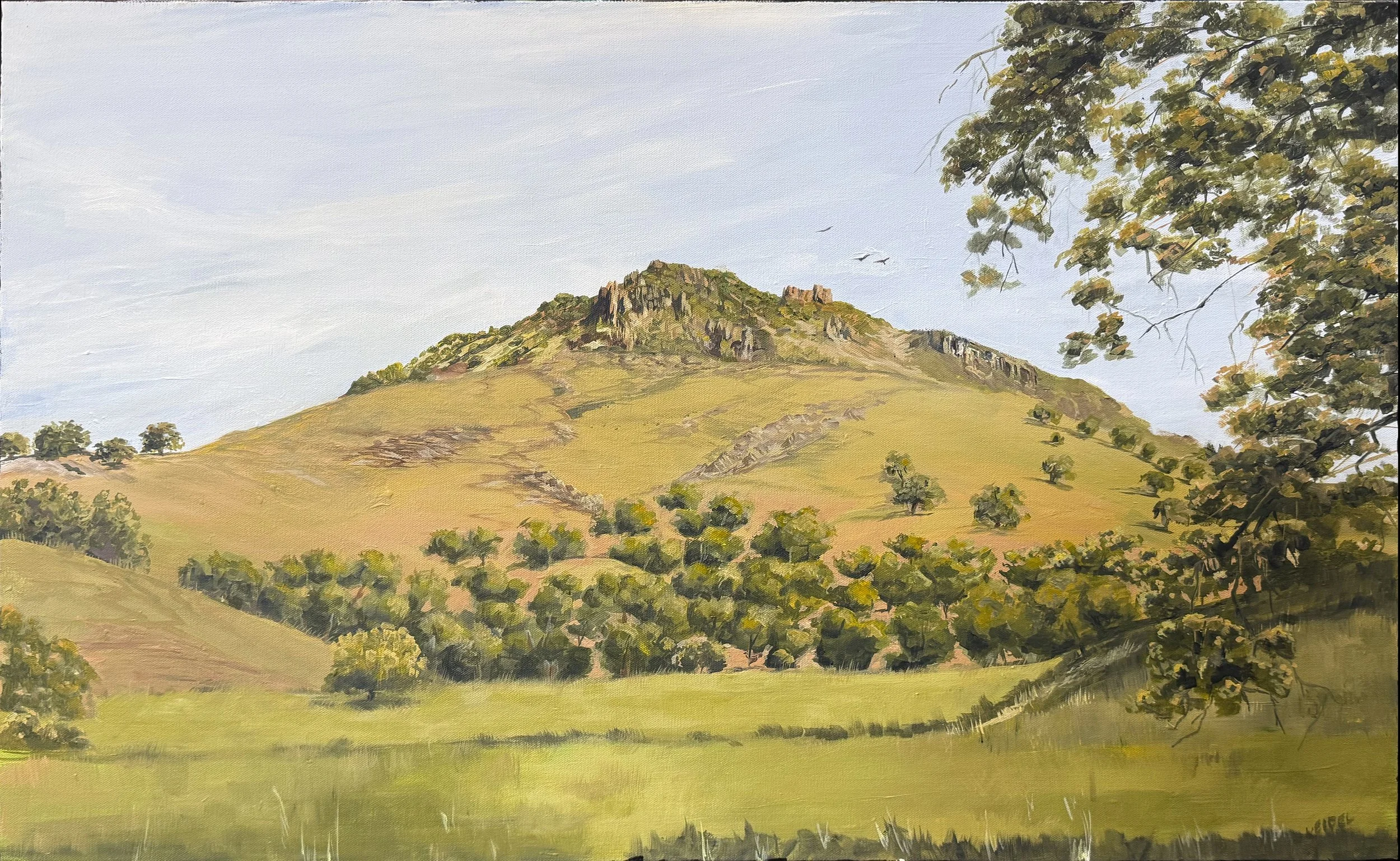 SutterButtes.jpg