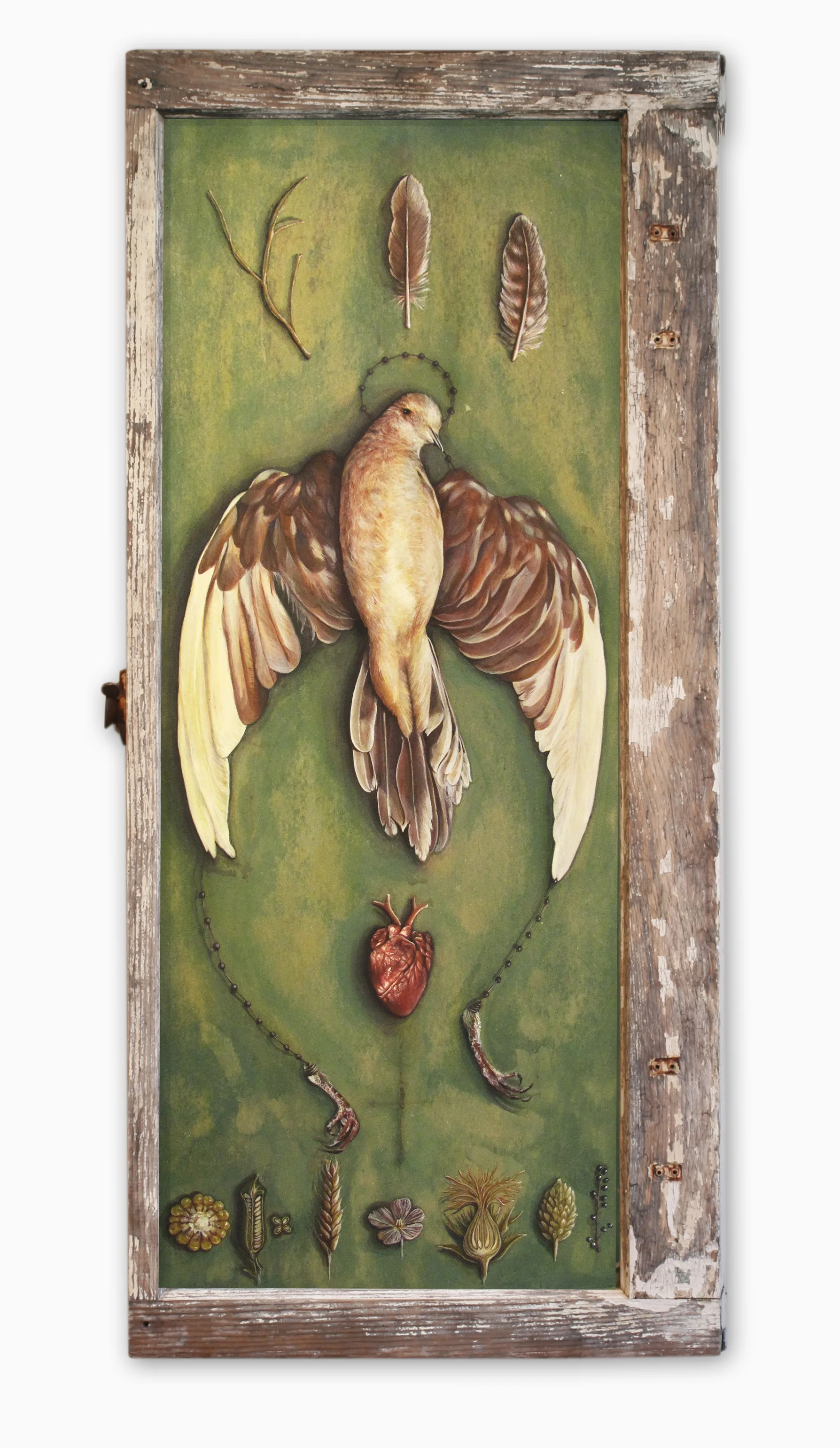 Dove Study Acrylic on paper, 18''x40''
