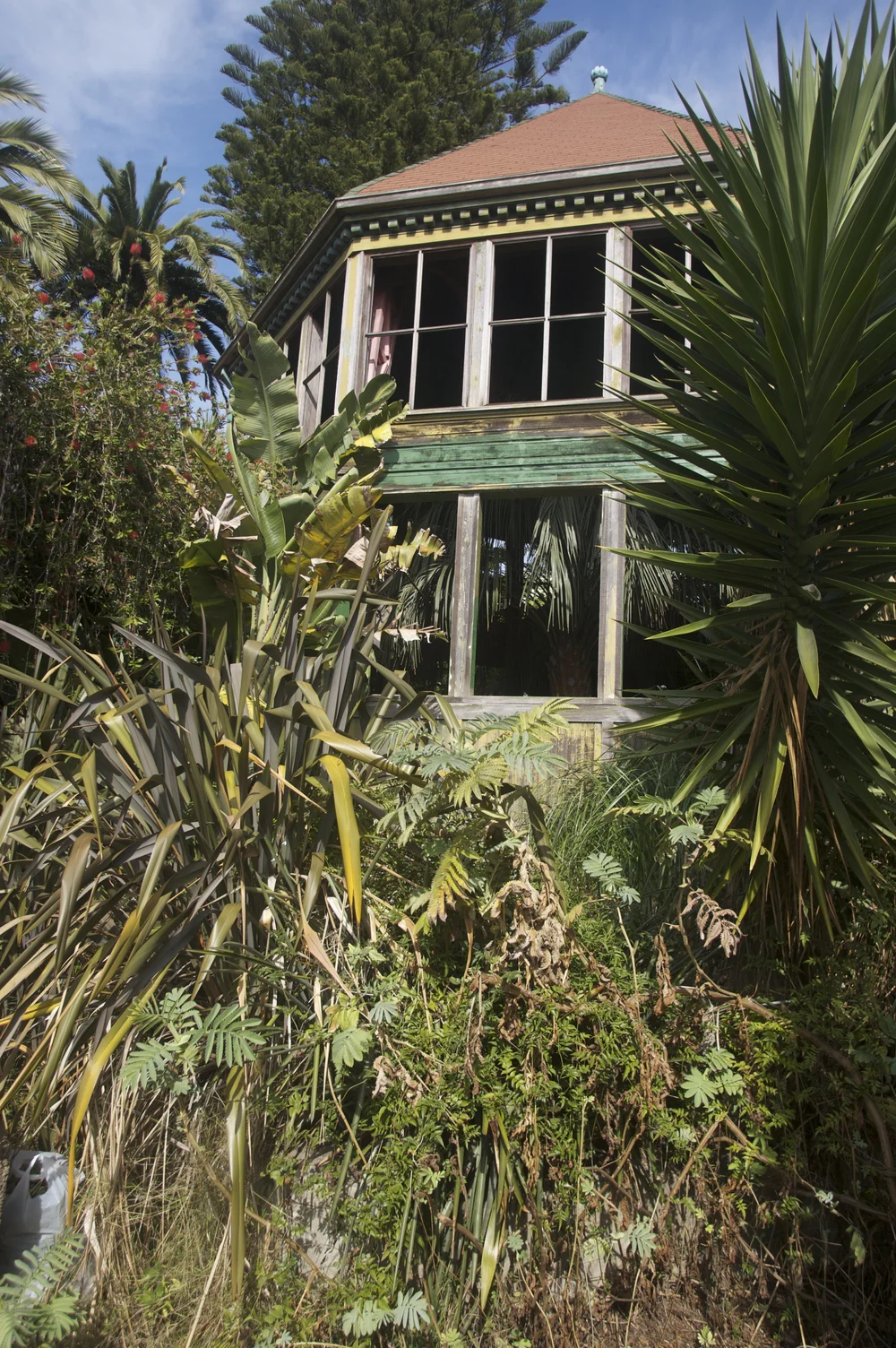 before to after conservatory_010_lm.jpg