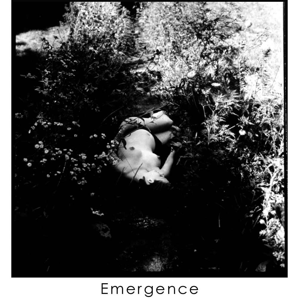 EMERGENCE 14 .jpg