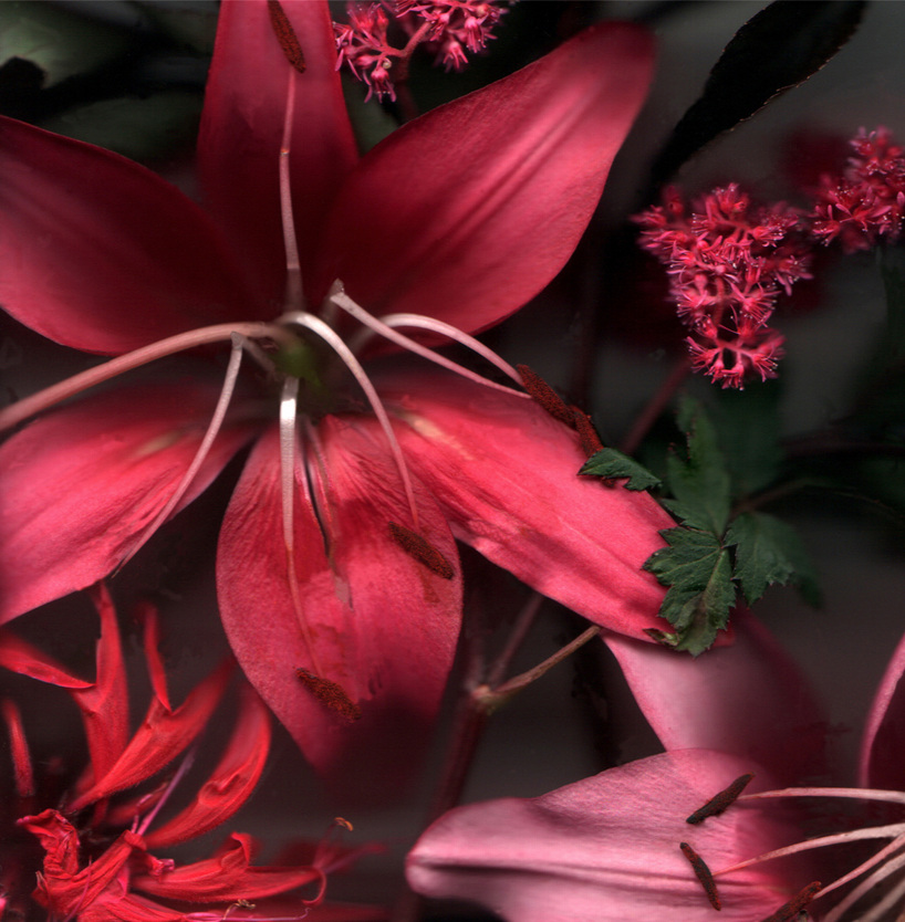Flower 12 14.jpg