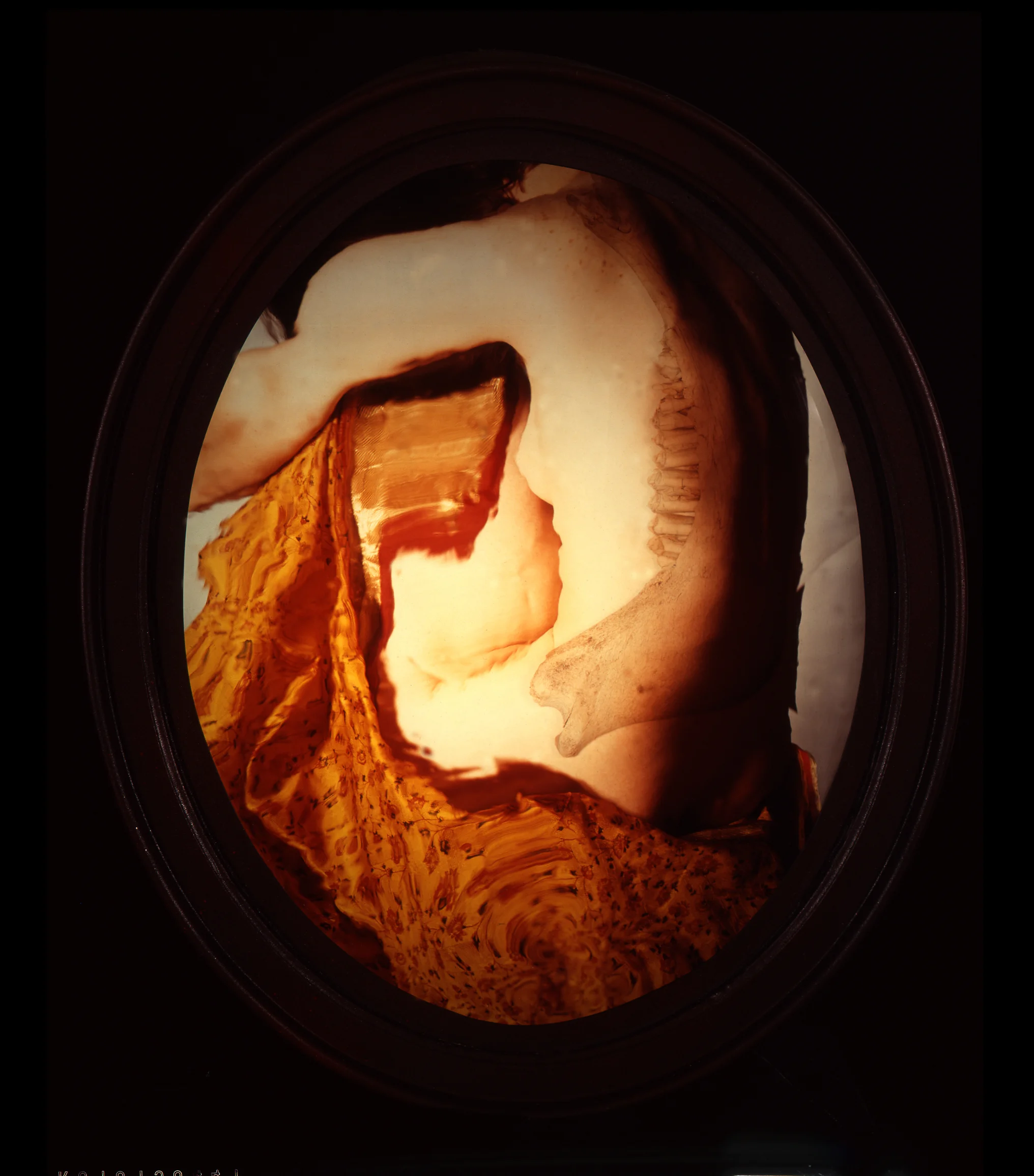 Untitled 7 MA91012.jpg