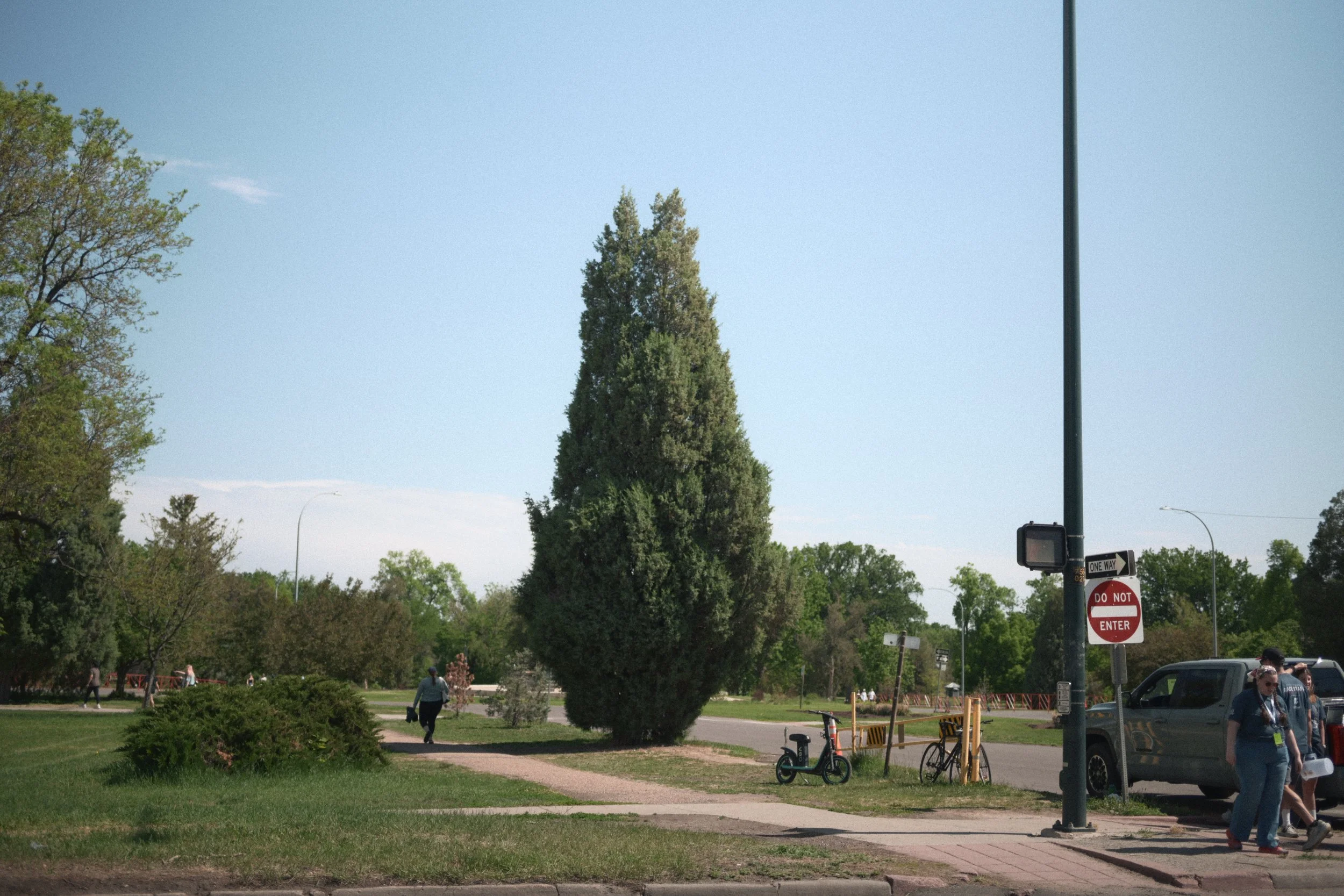 DSC_1654.JPG