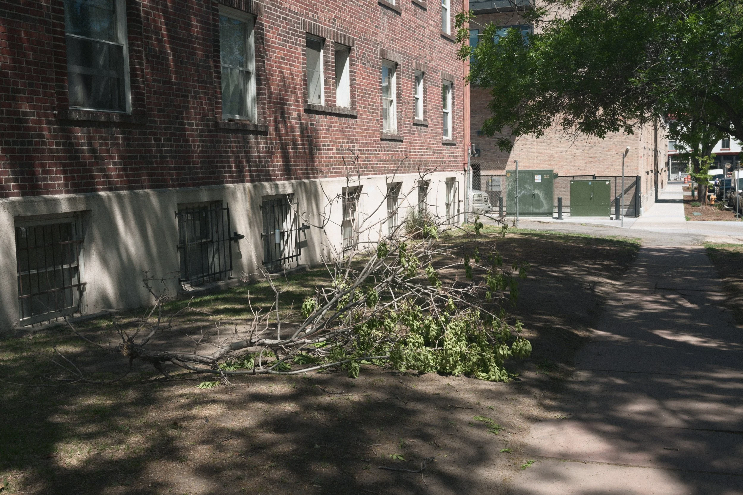 DSC_1490.JPG