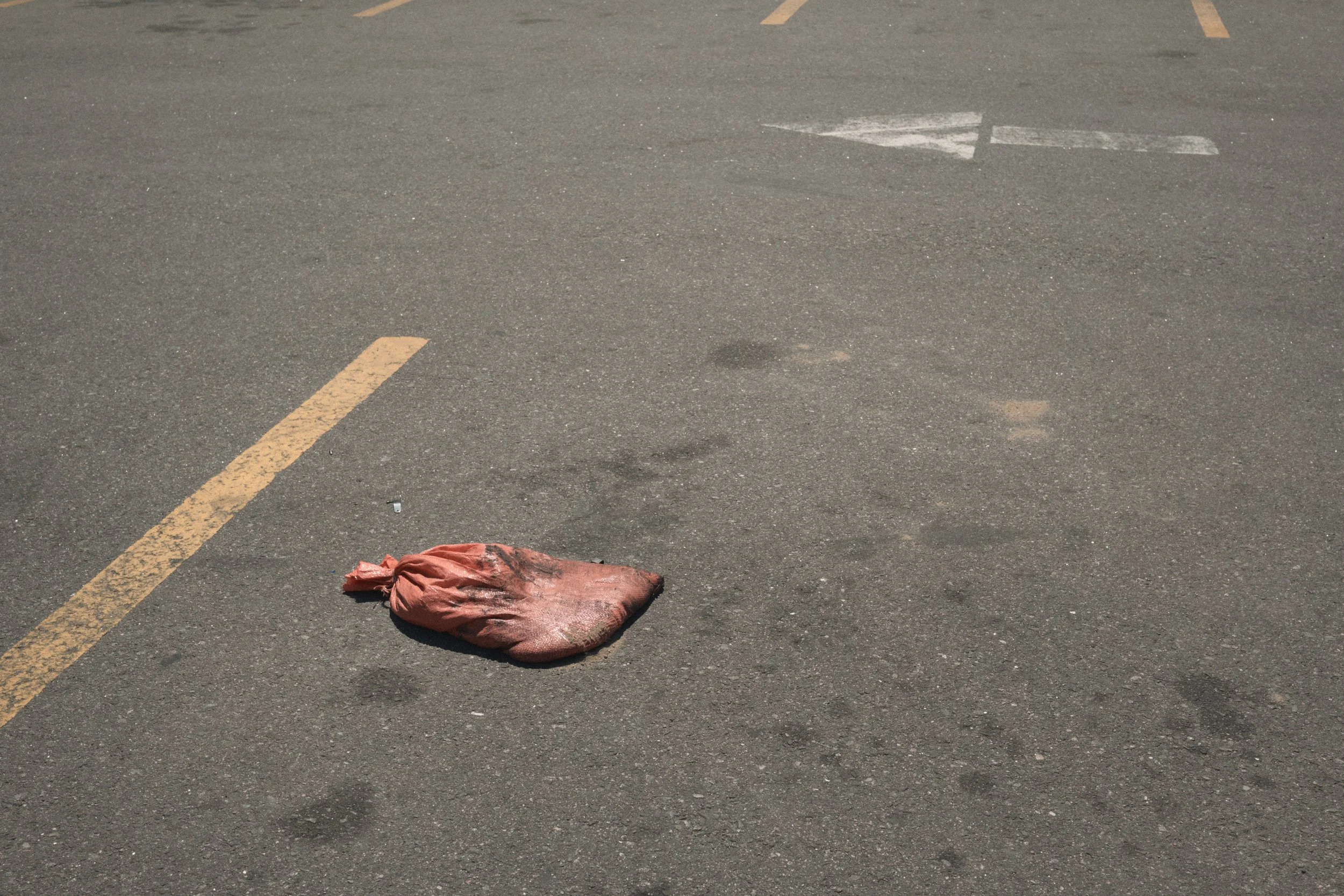 DSC_1475.JPG