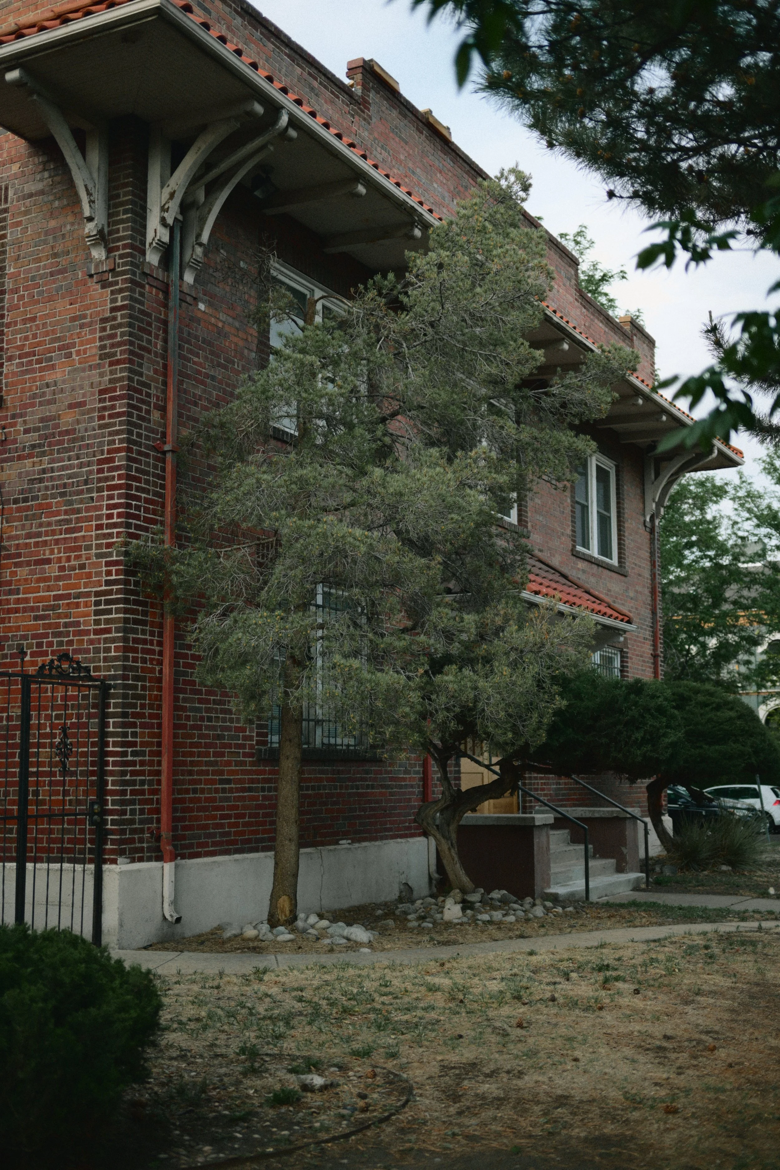 DSC_1743.JPG