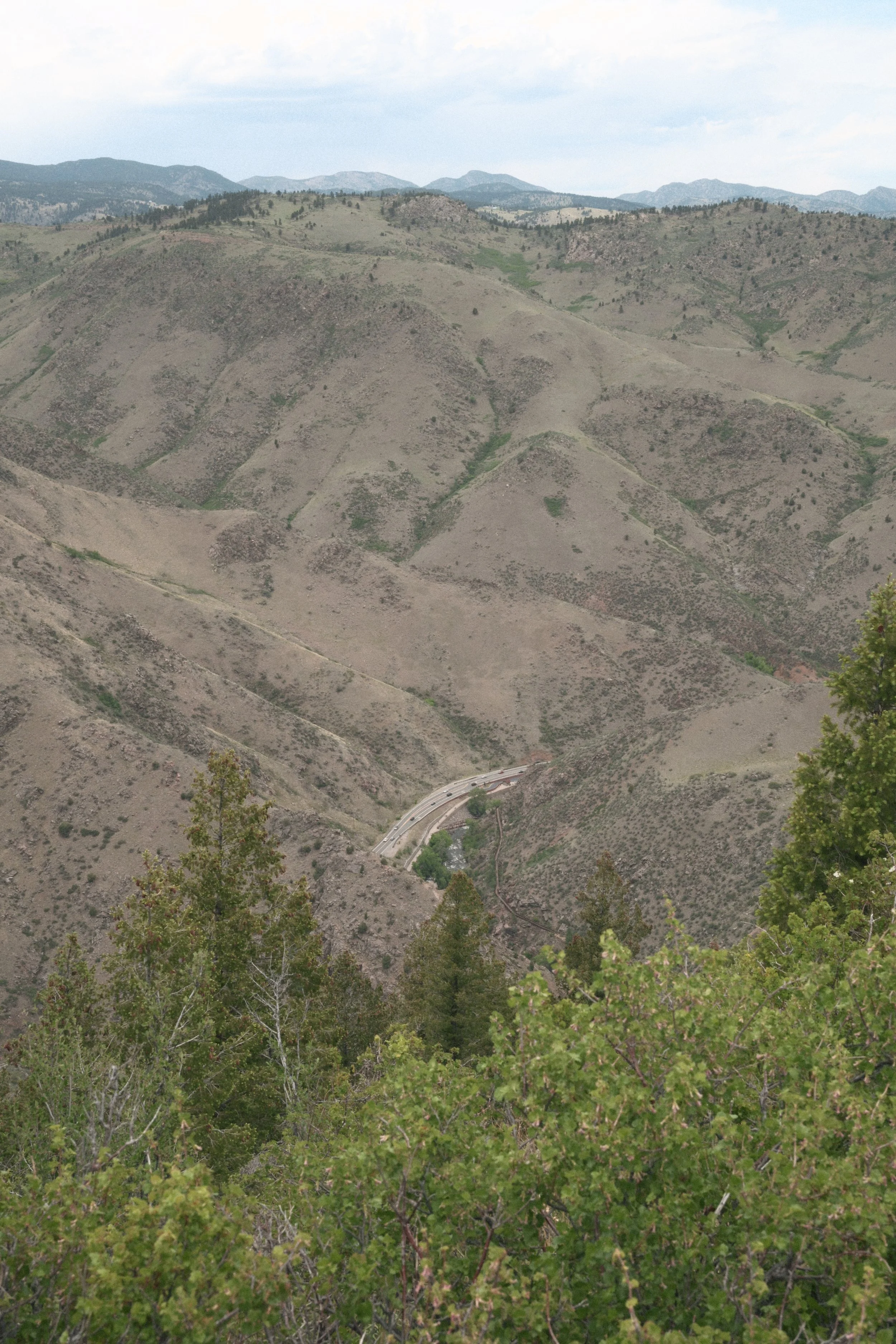 DSC_2308.JPG