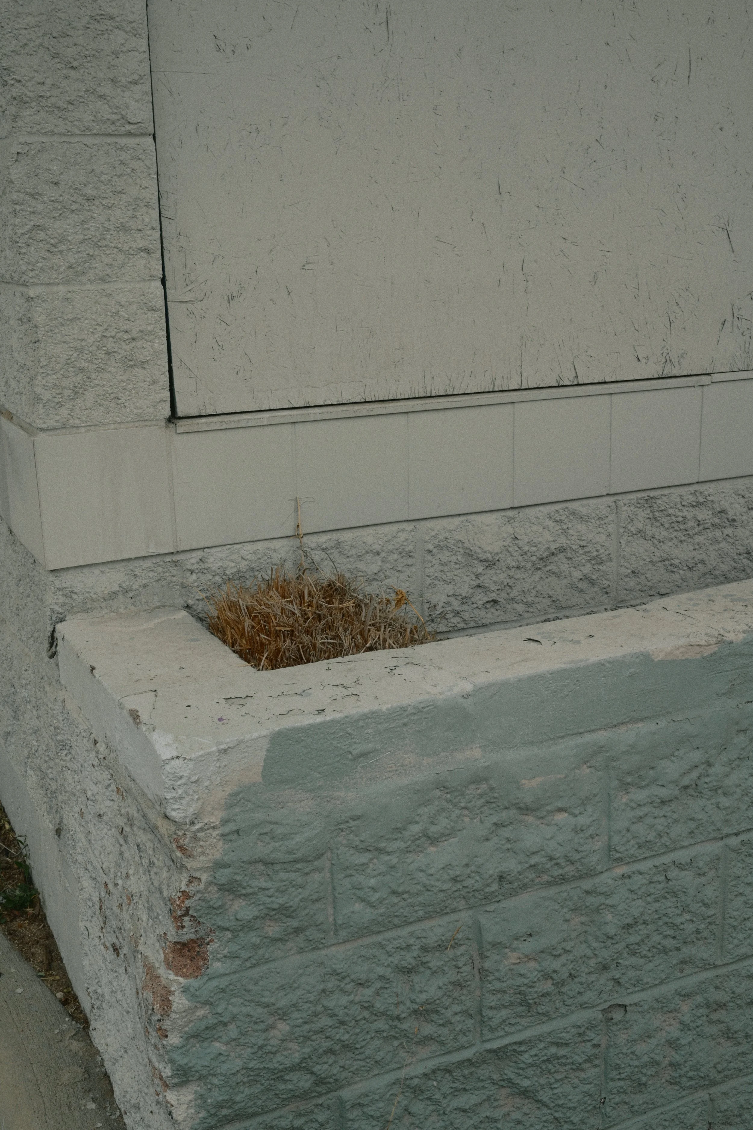 DSC_2647.JPG