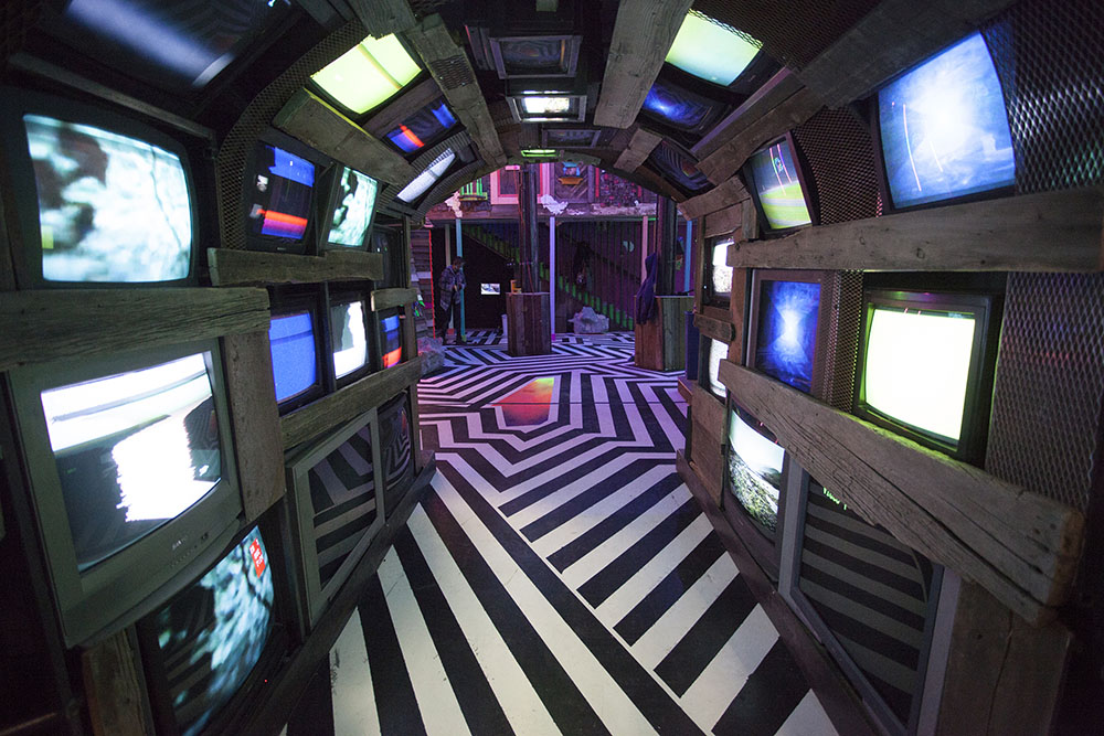 meowwolf04.jpg