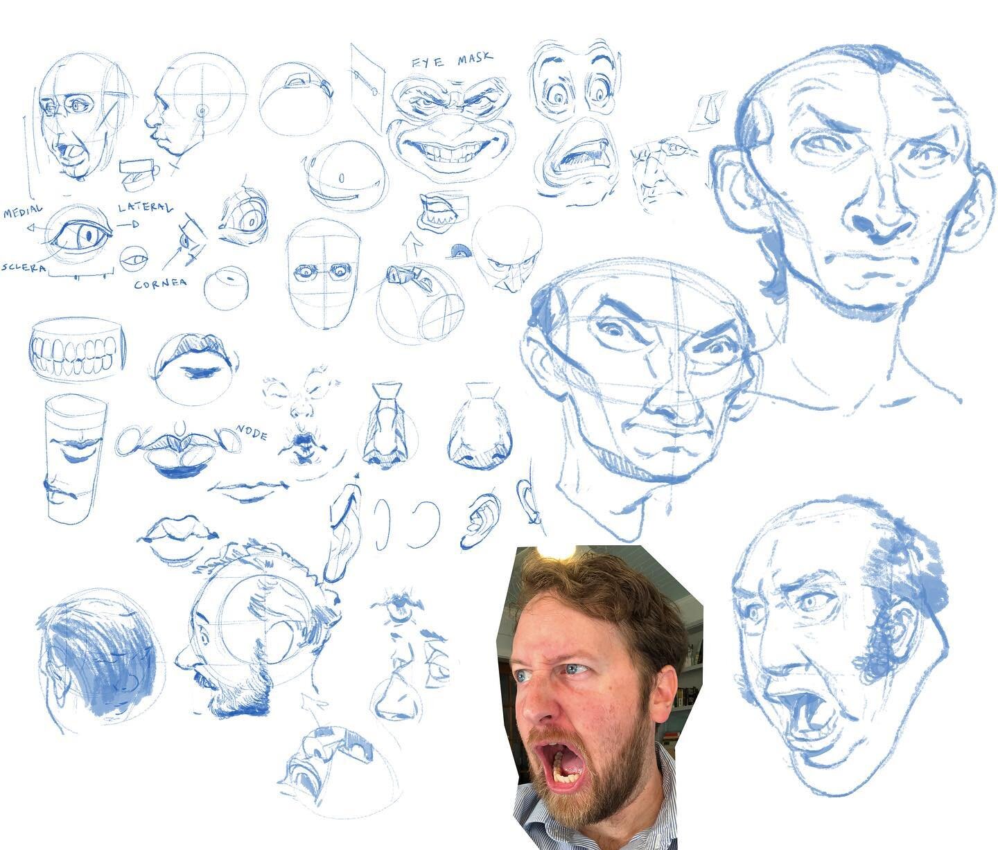 I had fun drawing on this virtual whiteboard today. The lesson is sort of a bunch of quick tips for drawing the face for my Illustrative Anatomy and Perspective course. Not intended to replace having a reference but tried to focus today on using the 