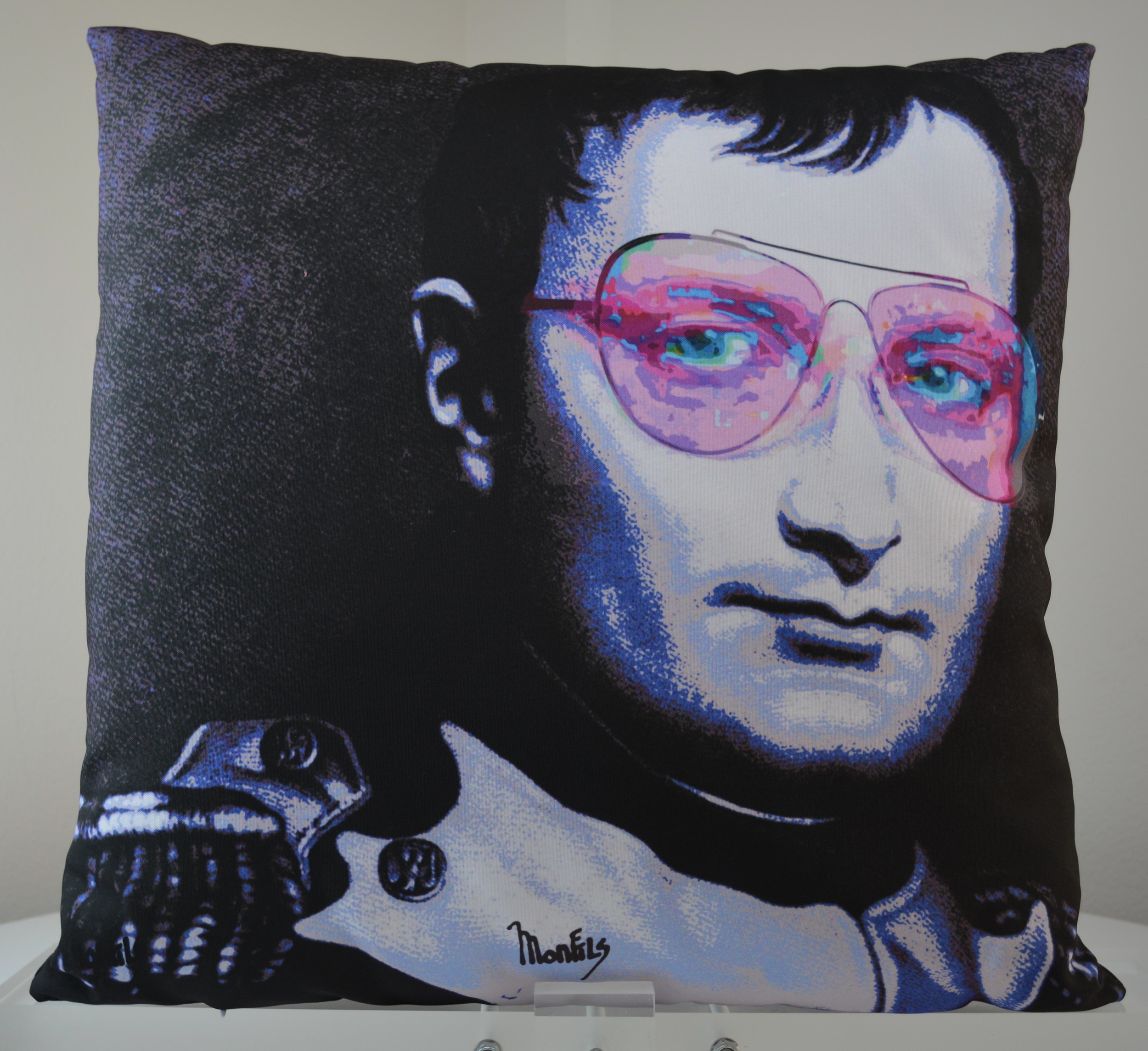 napoleon pillow.jpg