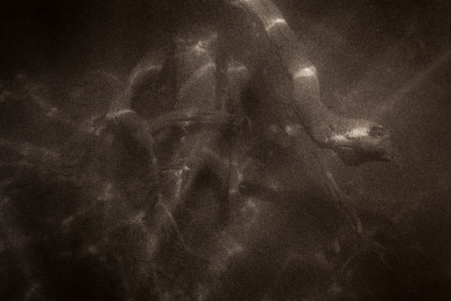 Underwater-11.jpg