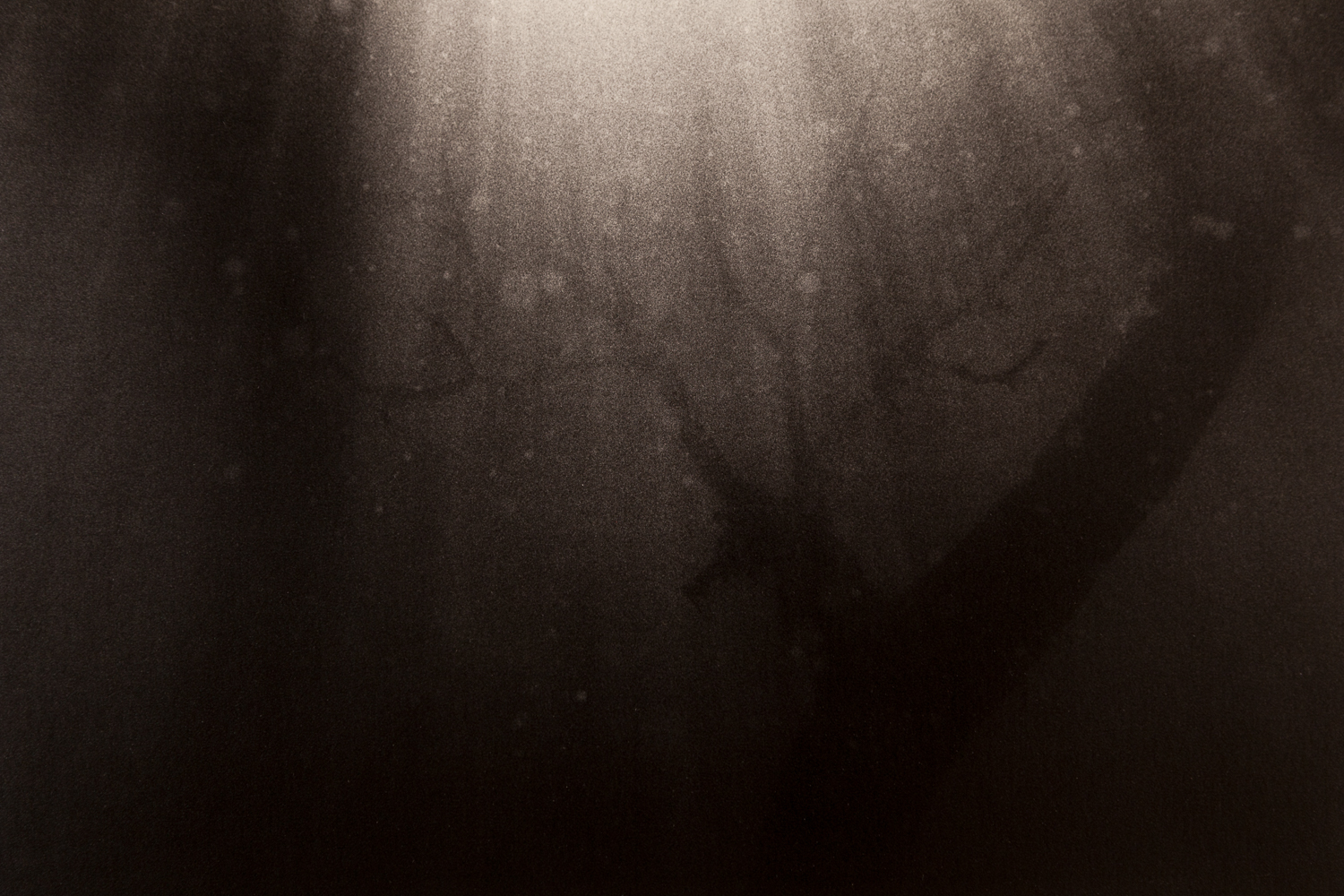 Underwater-37.jpg