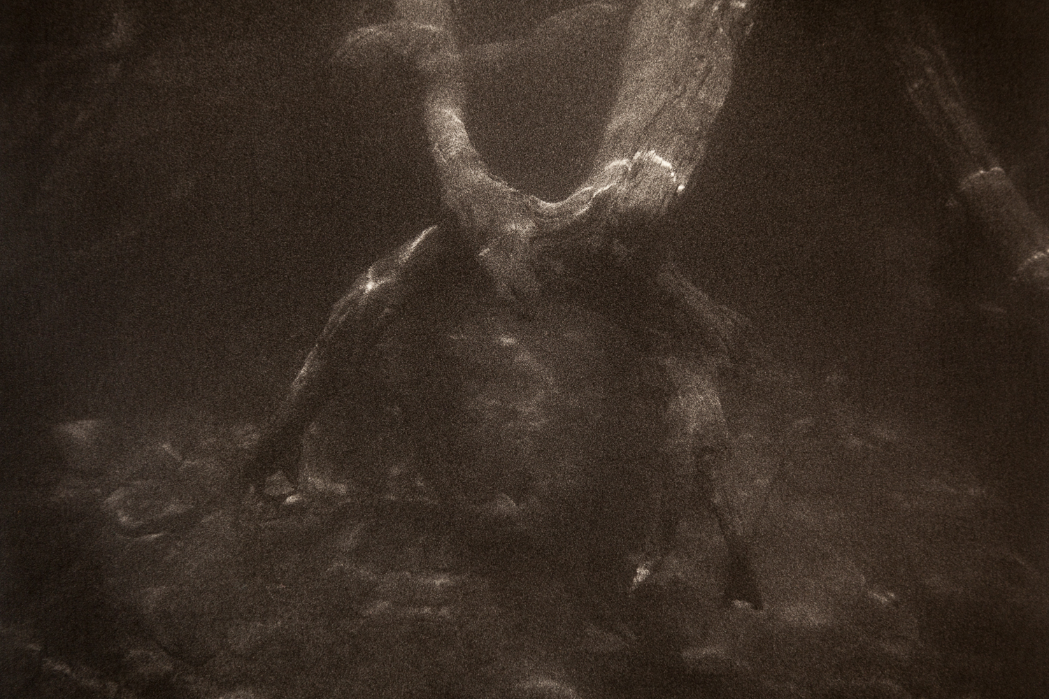 Underwater-14.jpg