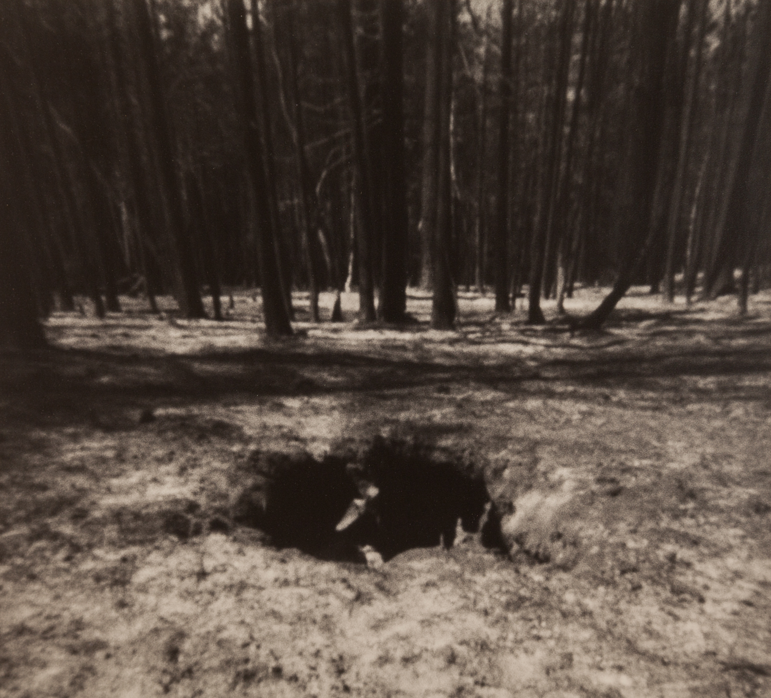 Home_pinhole-5.jpg