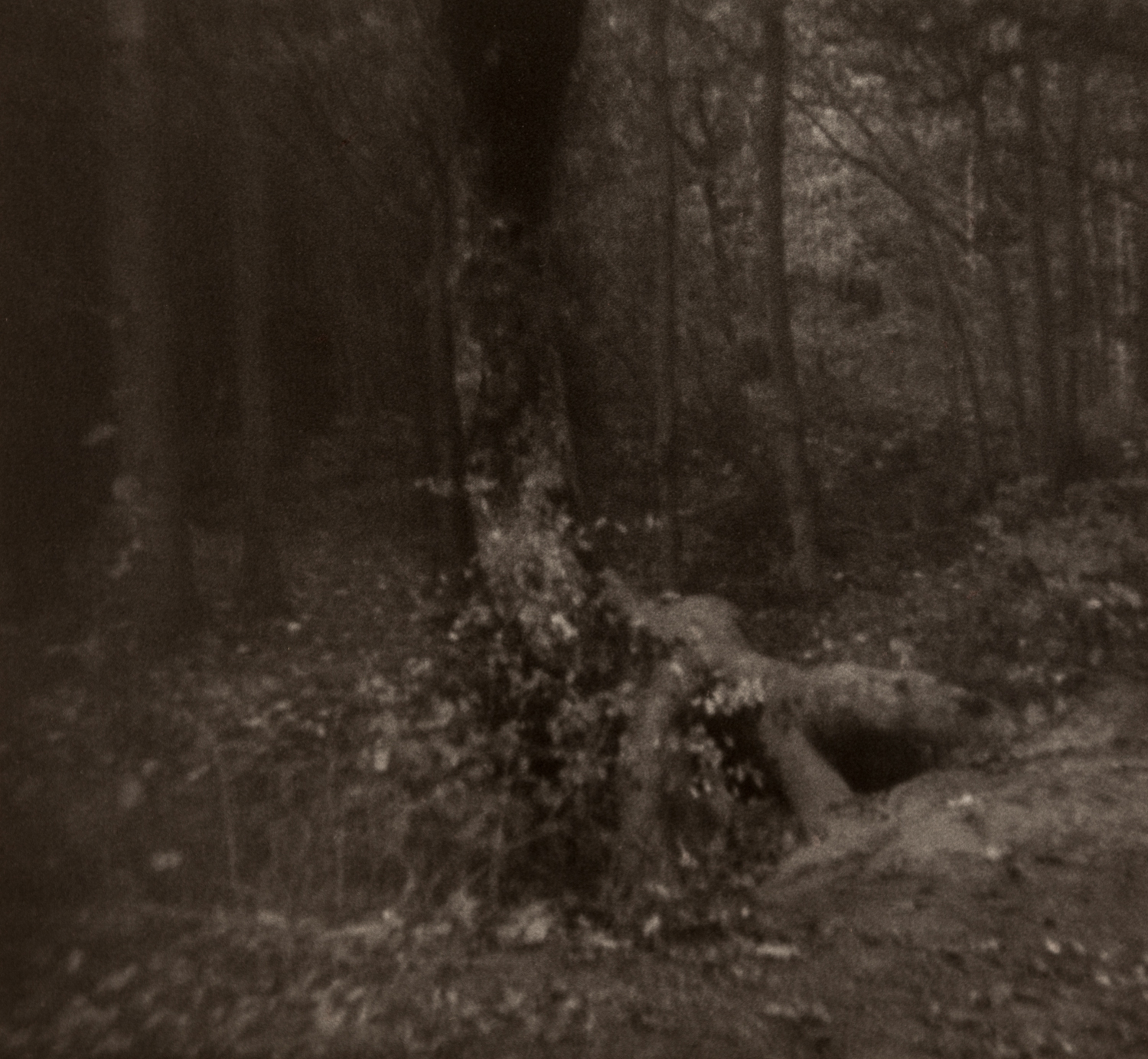 Home_pinhole-6.jpg