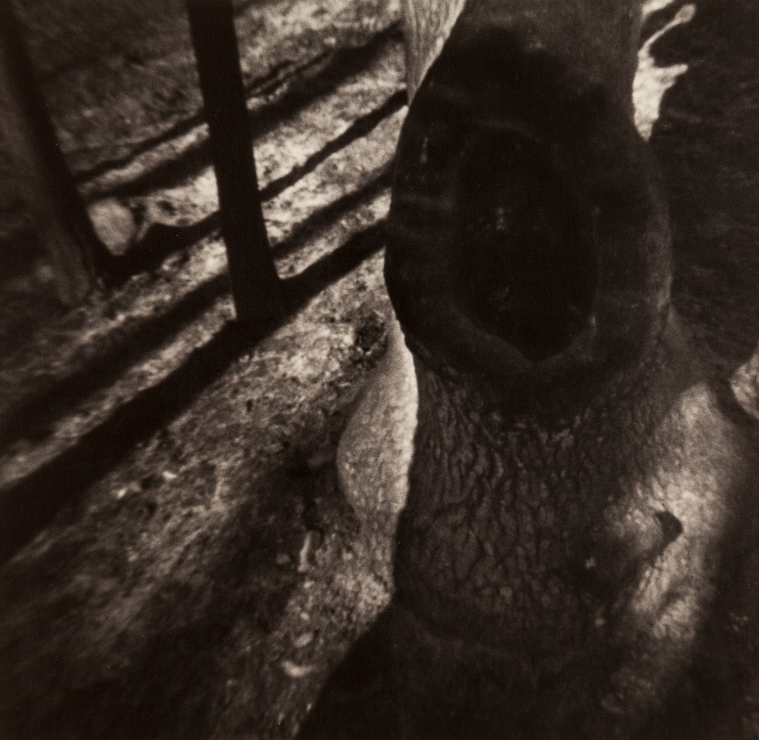 Home_pinhole-11.jpg