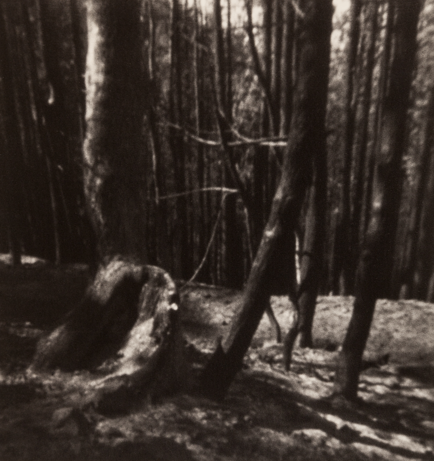 Home_pinhole-4.jpg