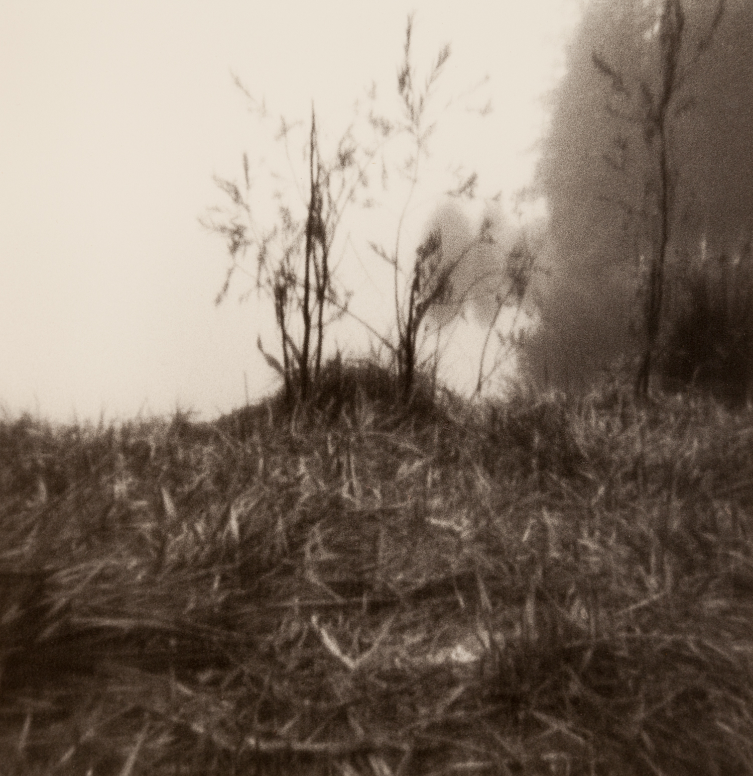 Home_pinhole-14.jpg