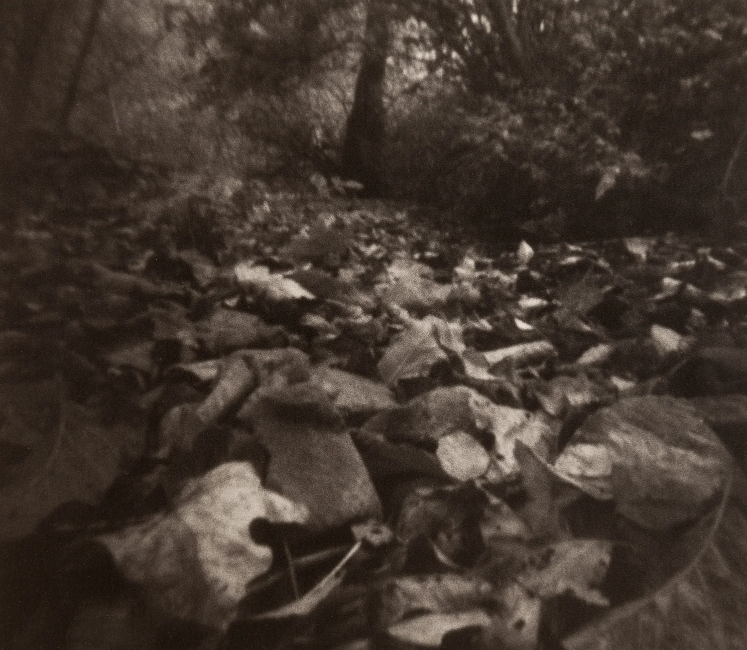 Home_pinhole-8.jpg