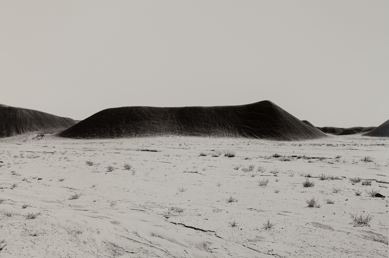 desert-8.jpg