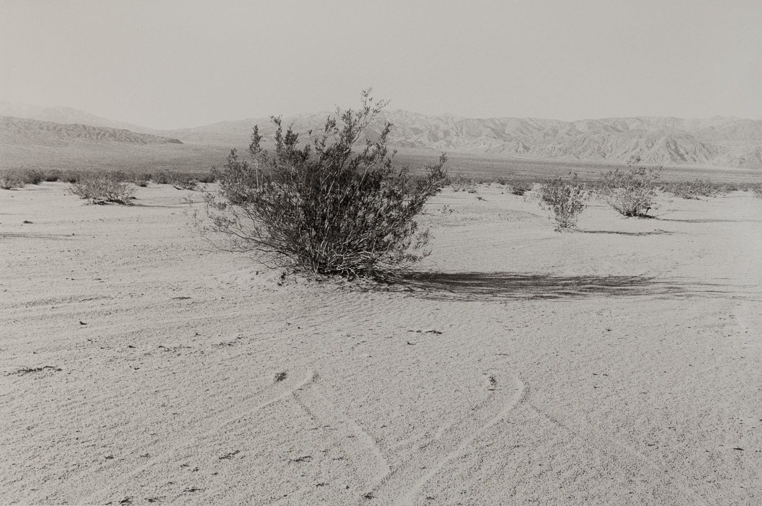 desert-10.jpg
