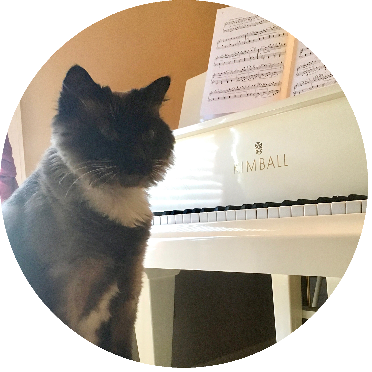 simon profile pic.png
