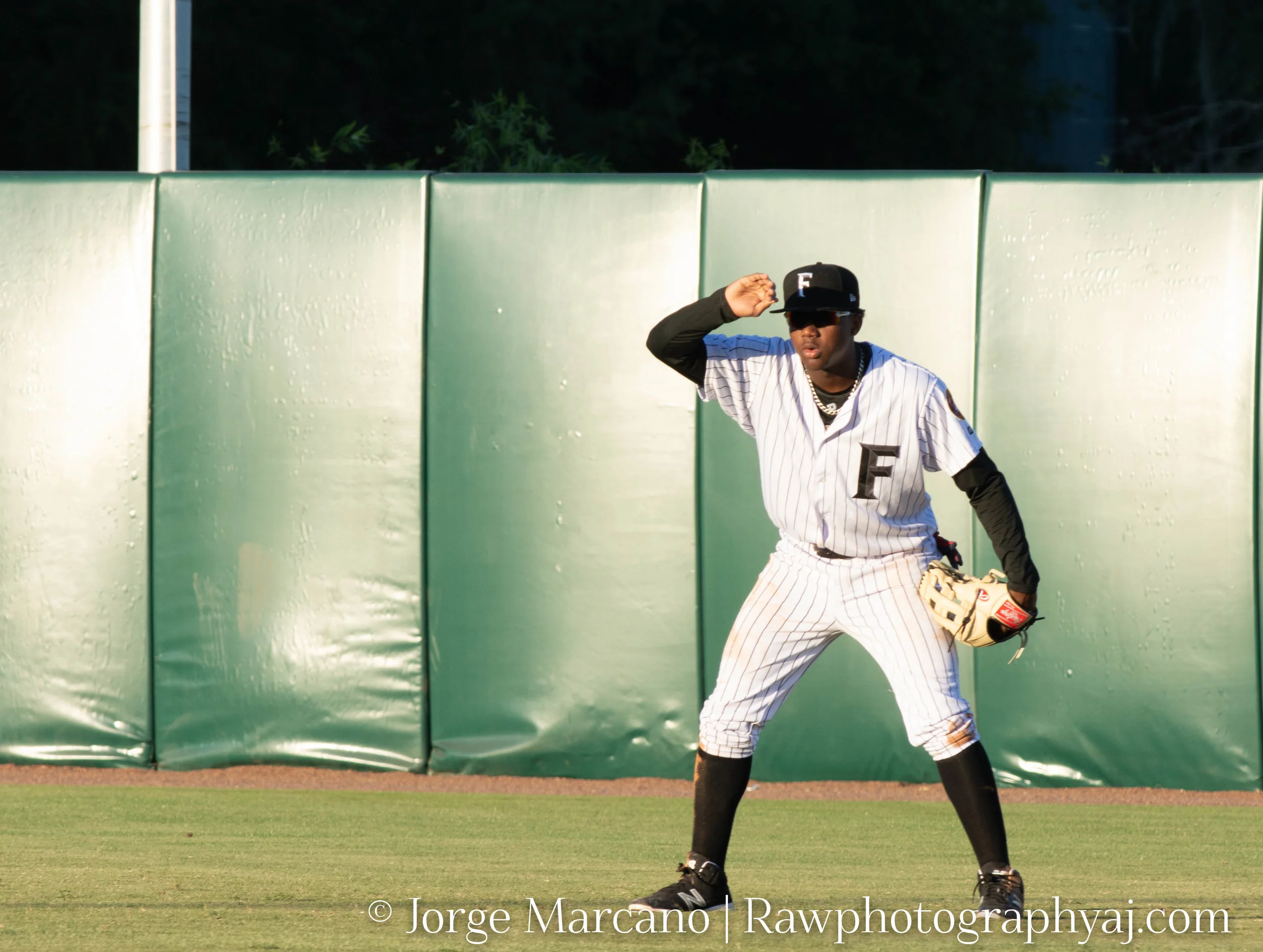DSC_3340-2-4.jpg
