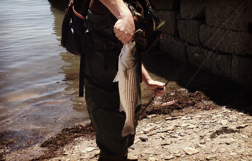 First fish of the season